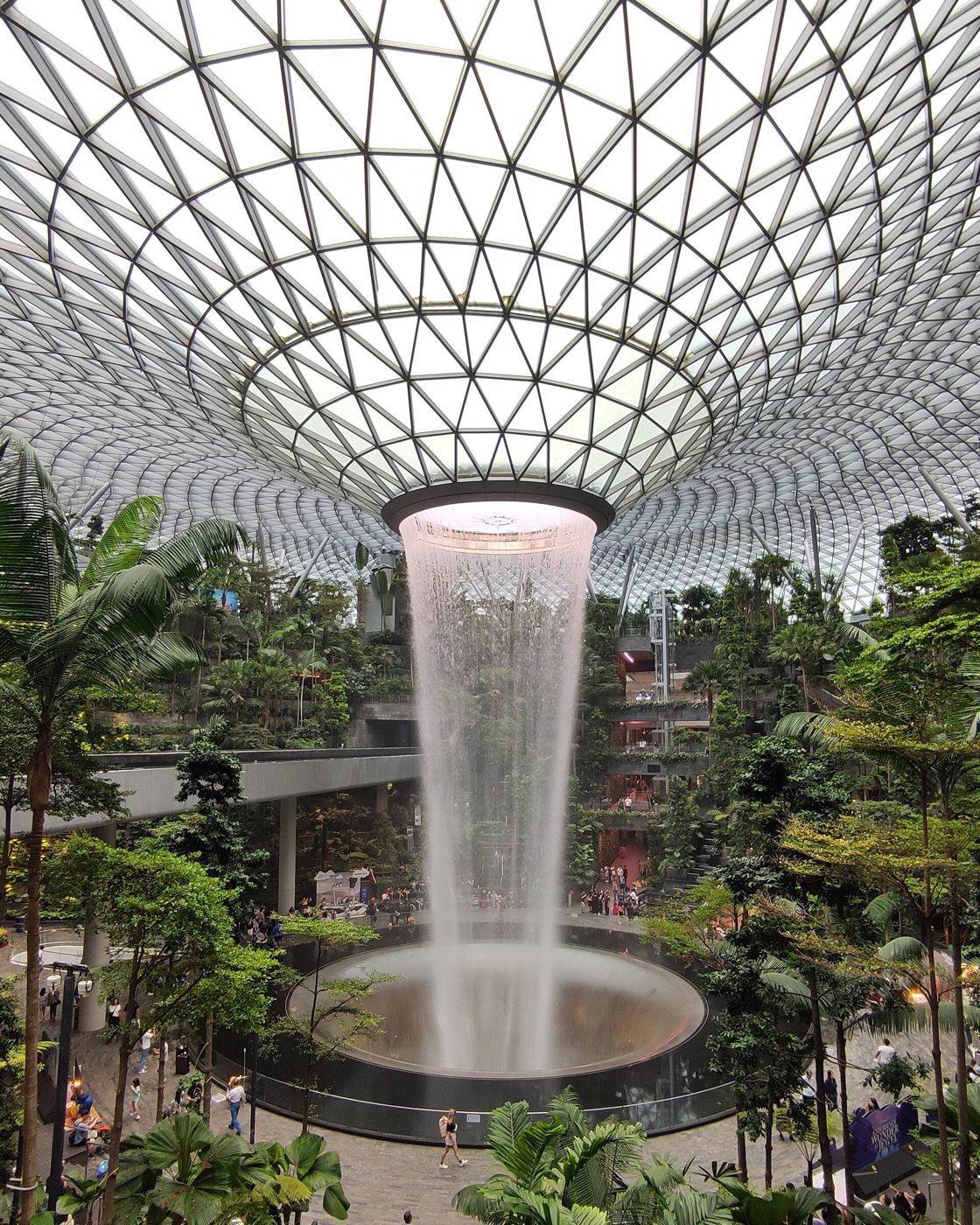 The Rain Vortex falling through the lush indoor garden at Jewel Changi Airport